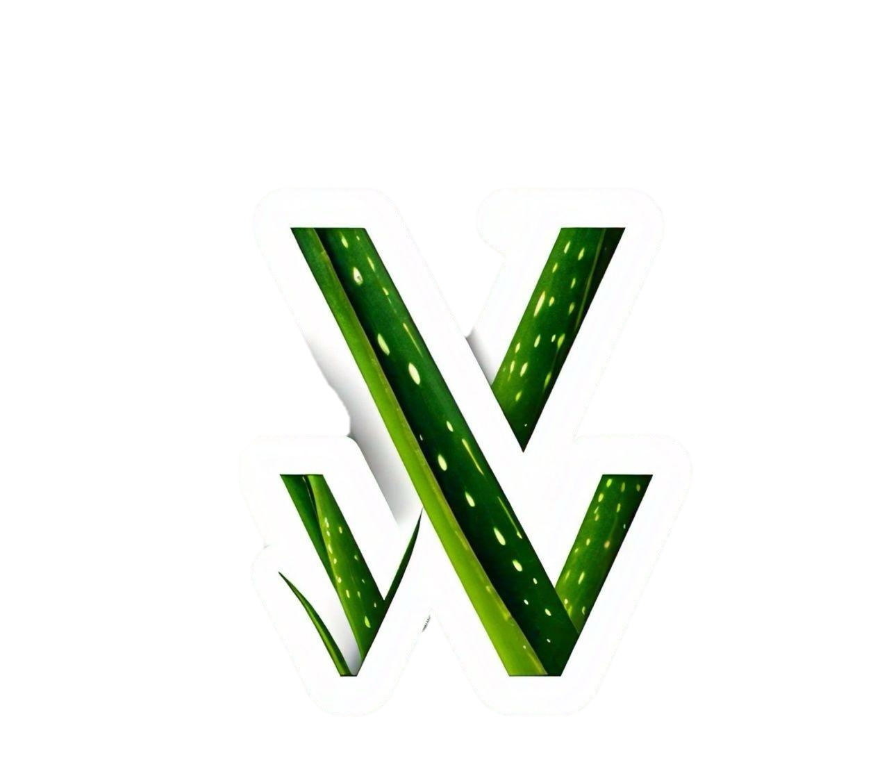 veraivtal-2